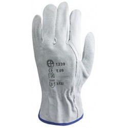 GANTS DE MAÎTRISE