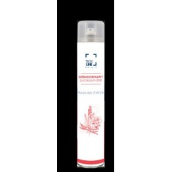 DESODORISANT TECHLINE FLEURS DES CHAMPS 750ML