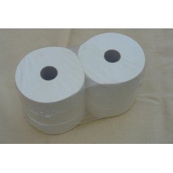 PAPIER TOILETTE MAXI JUMBO 300M TECHLINE BLC 2P ECOLABEL X6