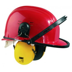 CASQUE FORESTIER