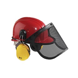 CASQUE FORESTIER